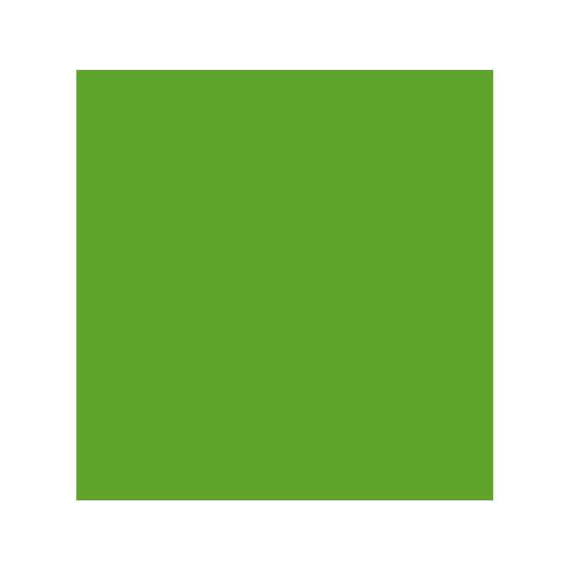Carton colorat in masa, Fabrisa, diferite culori, 180g/mp, 50x70cm, verde sparanghel intens Fabrisa imagine 2022 depozituldepapetarie.ro