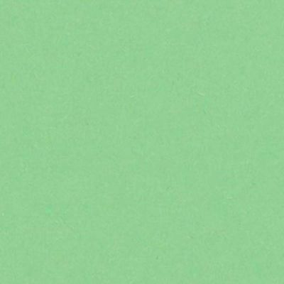 Carton color 70x100, 225g/mp, Fedrigoni Woodstock, verde  