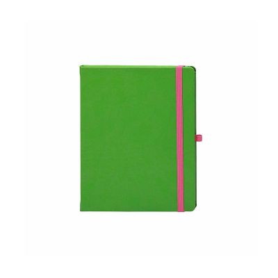 Caiet de birou, 13x21cm, 192file, Dictando, Notebook Pro, verde