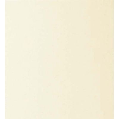 Carton special 270g/mp, 70x100cm, Arjowiggins Rives Sensation Tactil Natural White