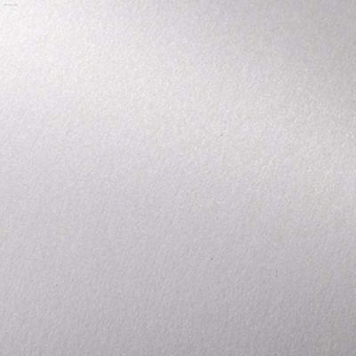 Carton special 250g/mp, 64x90cm, Skin Curious Metallics Ice Silver 