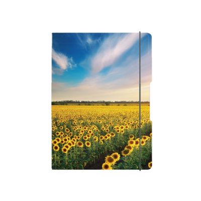 Caiet My Book Flex A5 40f 70gr, dictando, coperta Sunflowers, elastic galben