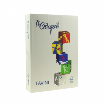 Carton color 220g/mp, 70x100cm, Favini, gri