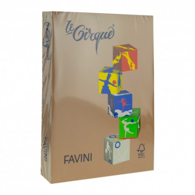 Carton color A4, 160g/mp, 250coli/top, Favini (300), maro piele