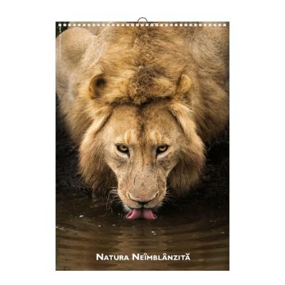 Calendar de perete, Natura Neimblanzita, 12 +1 file