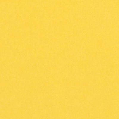 Carton color 70x100, 170g/mp, Fedrigoni Woodstock, giallo 