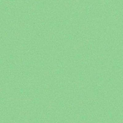 Carton color 70x100, 170g/mp, Fedrigoni Woodstock, verde 