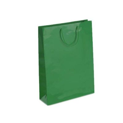 Punga cadou, hartie plastifiata, 17x26x7cm, verde