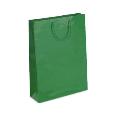Punga cadou, hartie plastifiata, 26x39.5x12cm, verde