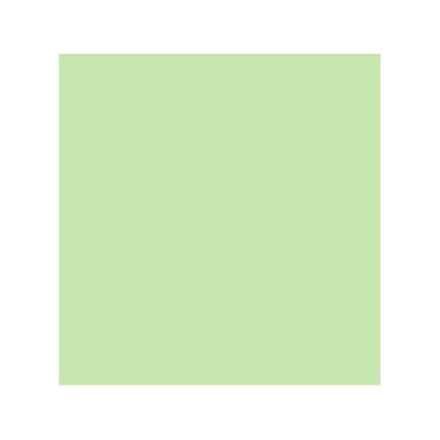 Carton color 50x65cm, 180g/mp, Fabrisa, verde pastel