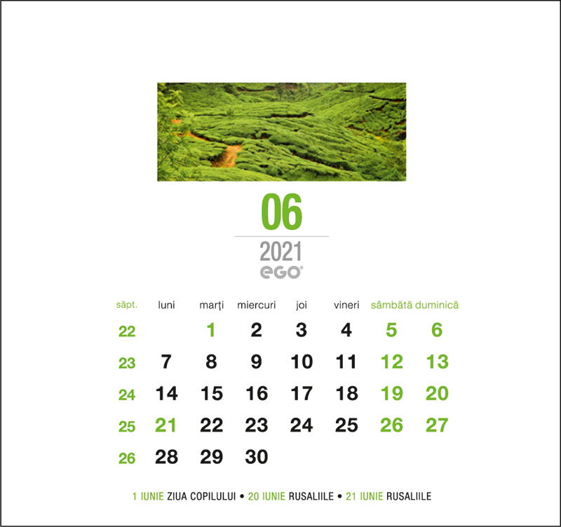 Calendar de birou, rama Foto, EGO Ego poza 2021